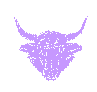 Bull Horizon